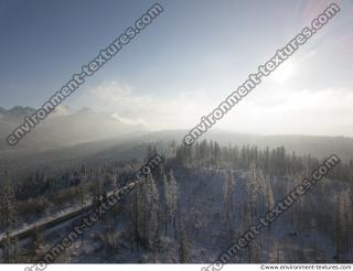 background winter nature forest 0001